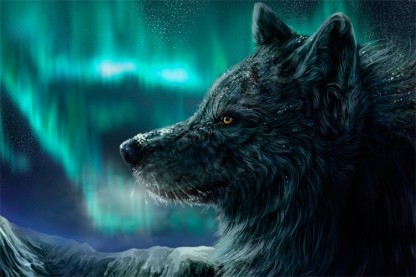 500 Super Cool Wolf Wallpapers  Background Beautiful Best Available For  Download Super Cool Wolf Images Free On Zicxacomphotos  Zicxa Photos